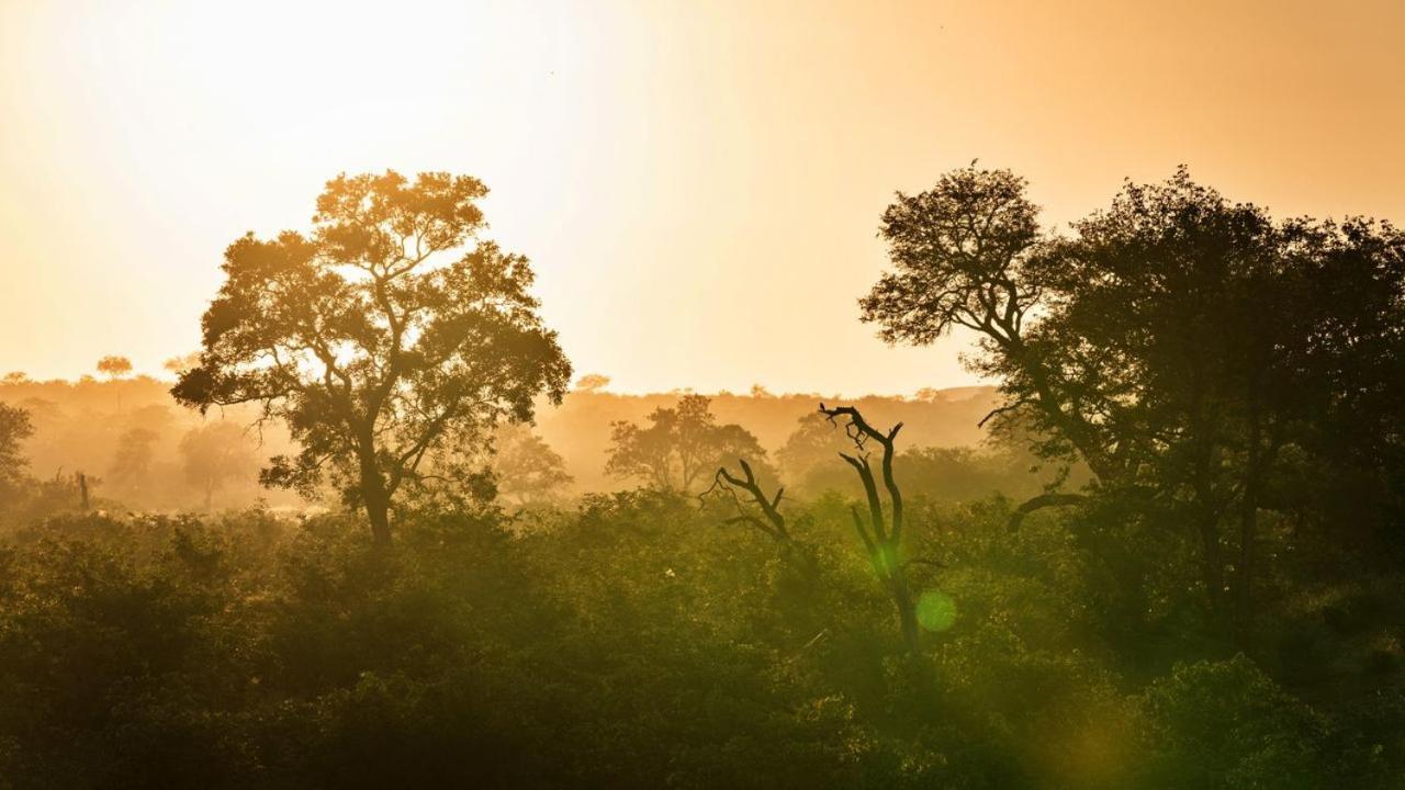 Geiger'S Camp In Timbavati Game Reserve By Newmark Luaran gambar