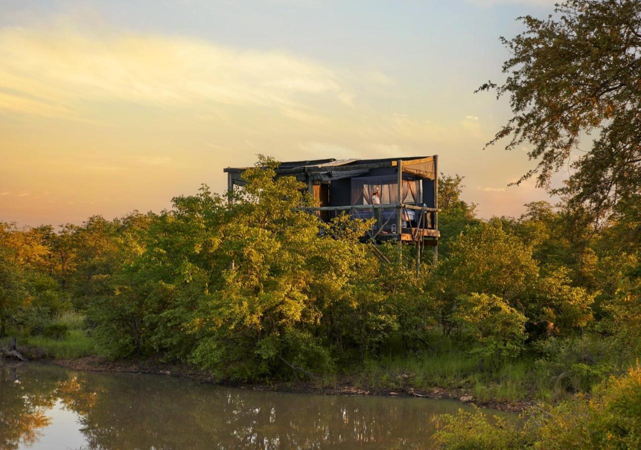 Geiger'S Camp In Timbavati Game Reserve By Newmark Luaran gambar